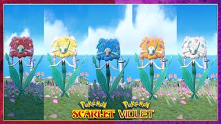 Pokemon Scarlet amp Violet All FlabebeFloetteFlorges Forms amp Locations [upl. by Winston]