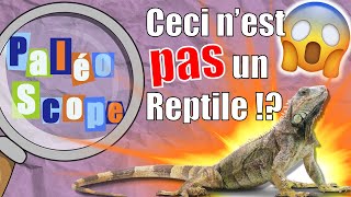 Les Reptiles nexistent PAS  La classification du vivant 2  PaléoScope 5 [upl. by Signe792]