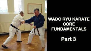 Wado Ryu Karate Fundamentals Part 3  Nagasu Inasu amp Noru [upl. by Platto]