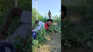 नक्शे बाज funny videoprk184comedy shorts funny bhojpury [upl. by Ethelyn]