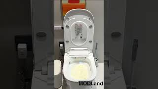 Modern Bidet Toilet you should have [upl. by Oniratac]