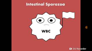 Intestinal Sporozoa Cryptosporidium Cyclospora Cystisospora بوغيات الجهاز الهضمي [upl. by Hoffman]