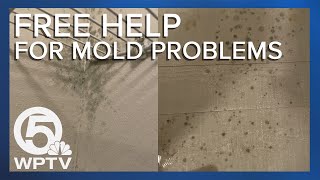 Mold problems Heres free help [upl. by Hedvige]