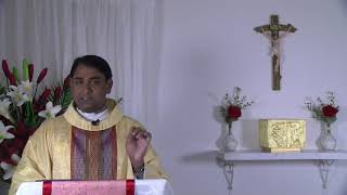 PENTECOST Novena  Holy Spirit Retreat  Day 8  Fr Rojan George VC [upl. by Anoyet]