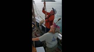 Schooner Lewis R French  StaySail [upl. by Ahsil724]