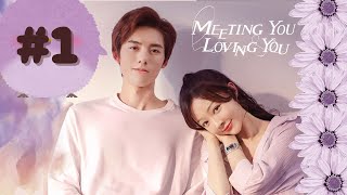 Meeting You  Season 1 Episode 1  Korean Drama  Hindi Dubbed [upl. by Rachaba851]