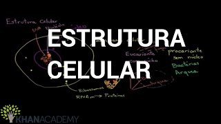 Estrutura Celular  Biologia  Khan Academy [upl. by Russ]