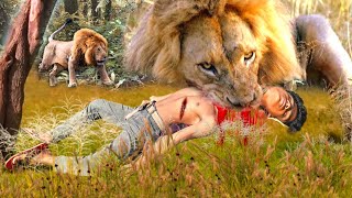 Lion attack buffalo in African forest  lion attack animal  lion attack video stories part32 [upl. by Yllib]