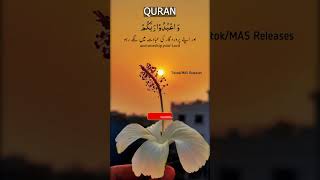 aye eman walo Surah AlHajj 22 aayat number 77 allah quotesquran islam love [upl. by Dietz]