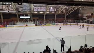 U11A Clarington Toros vs Whitby Wildcats White  November 6 2024 [upl. by Tareyn237]