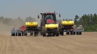 CASEIH MAGNUM305 PLANTING PEANUTS WITH A MONOSEM PLANTER BRIDGES FARMS 2022 PEANUT PLANTING [upl. by Yrellav]