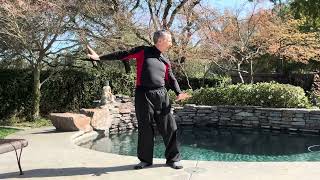 DRAGON TAIL QI GONG EXERCISE FOR BALANCE davidmitchell6972 [upl. by Nahs]