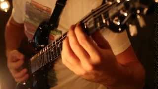 POMEGRANATE TIGER  Martin Andres  Maxims  Guitar Playthrough [upl. by Dee]