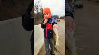 Nice 17 inch walleye Fishing [upl. by Strohl]