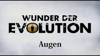 Wunder Evolution Teil 1 Augen History Channel Dokumentation [upl. by Llevrac698]