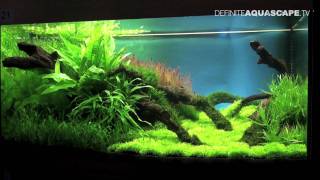 Aquascape  The Art of the Planted Aquarium 2011 Marcin Nowak [upl. by Medina]