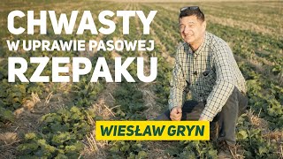 Zwalczanie chwastów w uprawie pasowej rzepaku Wiesław Gryn [upl. by Almeida]