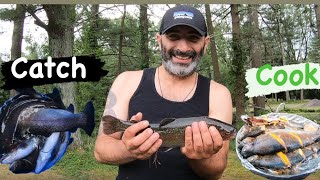 TROUT  Catch amp Cook Adventure [upl. by Margalo]