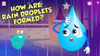 How Are Rain Droplets Formed  WATER CYCLE  The Dr Binocs Show  Peekaboo Kidz [upl. by Eeleimaj678]