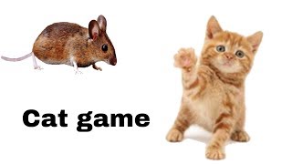 Rat on the screen to make fun with cat  cat games [upl. by Yerbua]