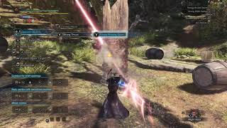 MHW True Gae Bolg Near Max DPS [upl. by Eytteb175]