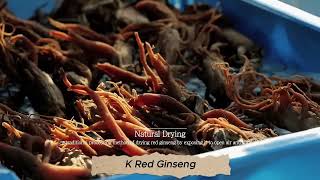 K Red Ginseng [upl. by Danuloff373]