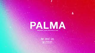 FREE  quotPalmaquot  Ozuna x Tory Lanez Type Beat  Free Beat  Summer Dancehall Pop Instrumental 2019 [upl. by Inahc]