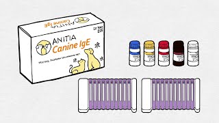 Identify the cause of your dog allergy Safe Allergy Test for Animal Canine [upl. by Payne]