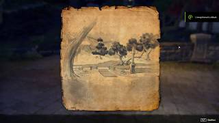 The Elder Scrolls Online  Treasure Map  Auridon Auridia II [upl. by Rramel]