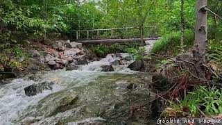 Cascading Water Under Bridge  10 Hr  Sounds For Sleep Study Focus And Relaxation [upl. by Seira922]