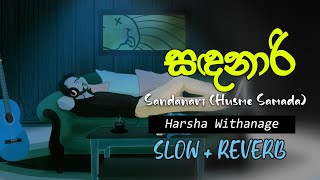 Sandanari  Sandanaari  Harsha Withanage Slow  Reverb Lofi  noisytown [upl. by Kling]