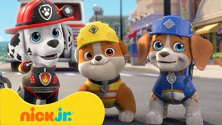 PAW Patrol  ¡PAW Patrol conoce a los amigos de Rubble  Nick Jr en Español [upl. by Caldwell745]