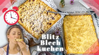 BLITZ BLECHKUCHEN  2 Blechkuchen in 30 Minuten  Kuchen vom Blech für Grillparty [upl. by Melodie836]