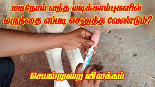 மடி காம்புகளில் மருந்தை எப்படி செலுத்த வேண்டும் செயல்முறை விளக்கம் INTRAMAMMARY TUBE APPLICATION [upl. by Idnyl]