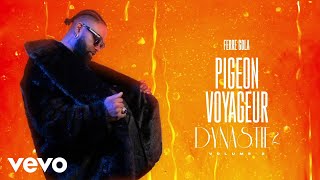 FERRE GOLA  PIGEON VOYAGEUR Visualizer [upl. by Octavius987]