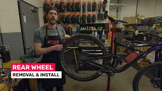 Tech Tip Tuesday  Mountain Bike Rear Wheel Removal and Installation [upl. by Shirleen880]