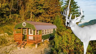 Wooded Hunting Property And OffGrid Cabin For Sale Crawford Co WI [upl. by Annuaerb]