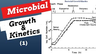 Microbial Growth amp Kinetics1 Explained Bioprocess amp Biochemical Engineering [upl. by Anitselec562]