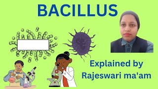 what is Bacillus [upl. by Airekahs]