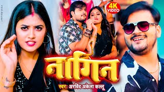 Video  नागिन  Arvind Akela Kallu Shivani Singh  Nagin  New Bhojpuri Song 2023 [upl. by Natelson]