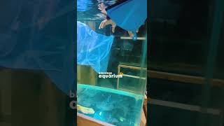 Sting Ray Stinger  Holding a Stingray  The Barb that Killed Steve Irwin  Tybee Island GA [upl. by Bertasi]