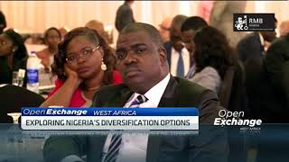 Exploring Nigeria’s diversification options [upl. by Akinihs]