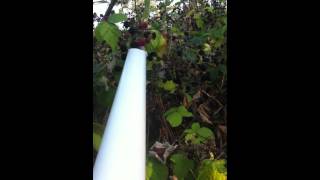 BlackBerry Picking Pole Tool [upl. by Rehtul622]