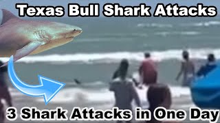 3 Texas Shark Attacks in One Day Bull Shark 2024 Padre Island Tabitha Sullivant [upl. by Rosemaria]