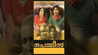 ചെമ്മീൻ chemmen malayalamoldmovie thakazhi madhu sathyan sheela shortsfeed story trending [upl. by Quiteris]