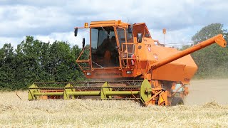 Dronningborg D2600 V8 Perkins Combine Harvesting Barley  Harvest Season 2023 [upl. by Slocum]