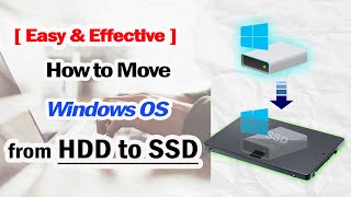 How to Clone Windows 1110 from HDD to SSD  ALL Windows OS  Easy amp Effective [upl. by Thorner]