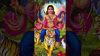 Ayyappa swamy irrumudi kattu swamyieayyappa [upl. by Dewie]