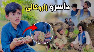 Da Sro zaro Kali  Pashto Funny Video  Pashto Drama 2024 [upl. by Adrea649]