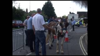 Wickham Horse Fair 2013 [upl. by Reisman8]